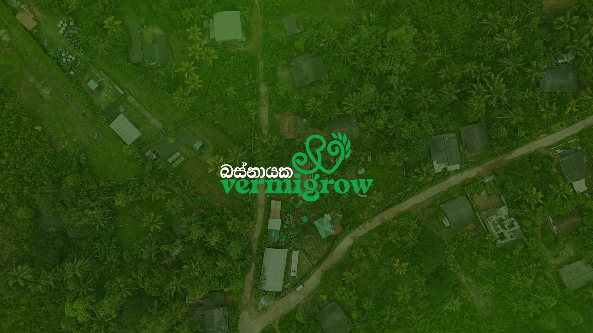 Growing soil, growing life